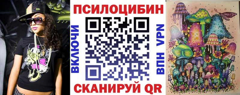 Псилоцибиновые грибы Psilocybe  Купить закладки  Омутнинск 